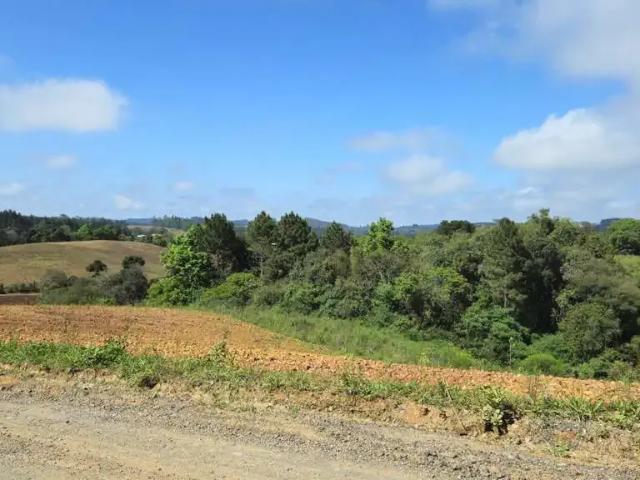 Terreno / Lote para Venda em São Bento do Sul/SC Cruzeiro