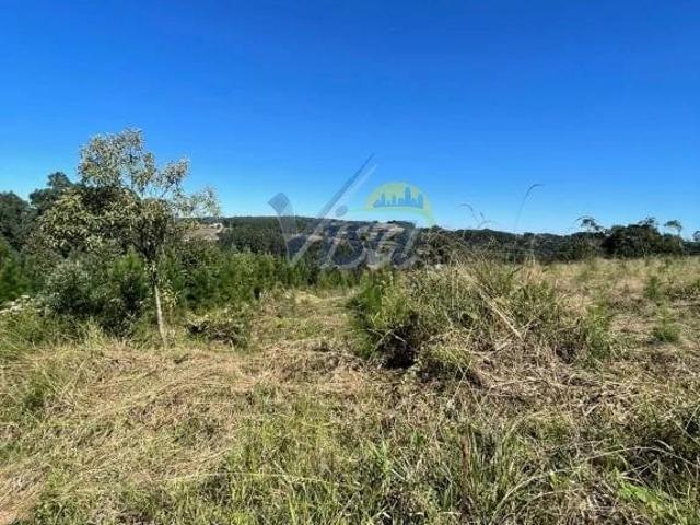 Terreno / Lote para Venda em São Bento do Sul/SC Alpino