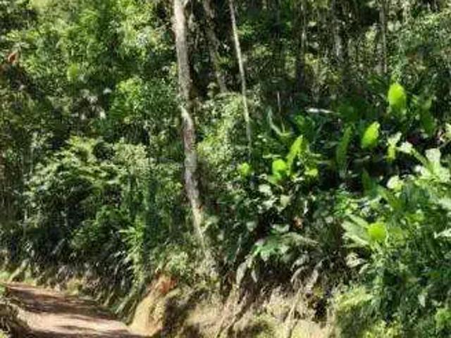 Terreno / Lote para Venda em São Bento do Sul/SC Área Rural de São Bento do Sul