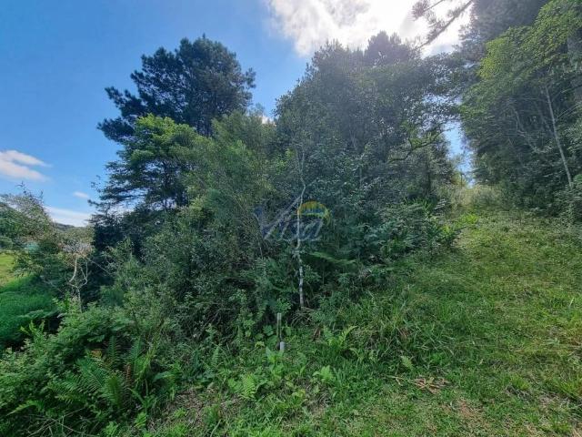 Terreno / Lote para Venda em São Bento do Sul/SC Boehmerwald