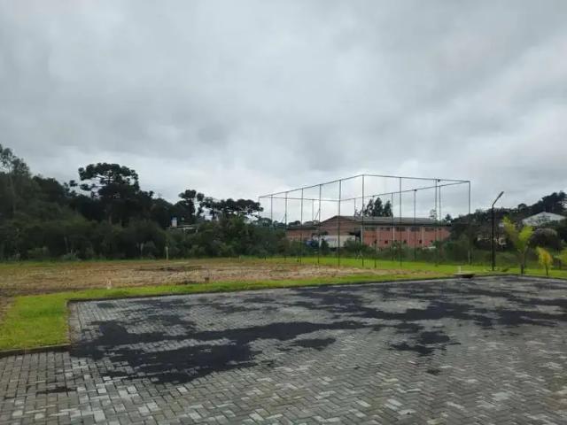 Terreno / Lote para Venda em São Bento do Sul/SC Boehmerwald