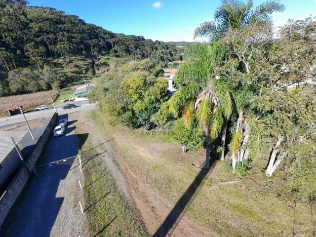 Terreno / Lote para Venda em São Bento do Sul/SC Bela Aliança