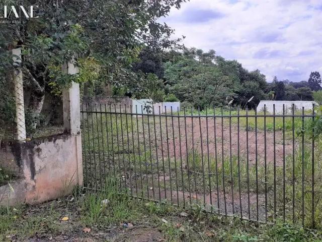 Terreno / Lote para Venda em São Bento do Sul/SC Brasilia
