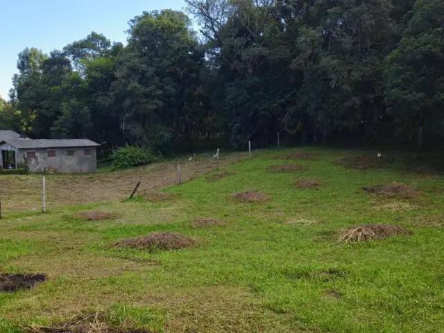 Terreno / Lote para Venda em São Bento do Sul/SC Dona Francisca