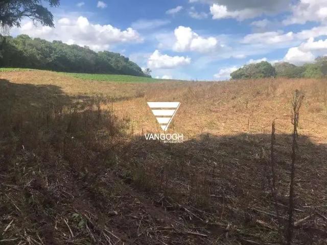 Terreno / Lote para Venda em São Bento do Sul/SC Dona Francisca