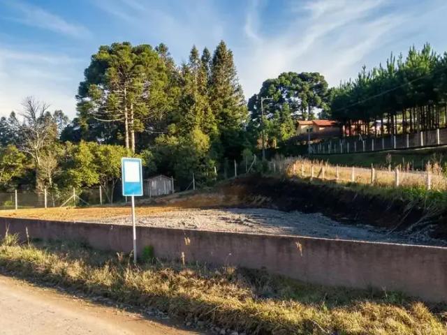 Terreno / Lote para Venda em São Bento do Sul/SC Lençol