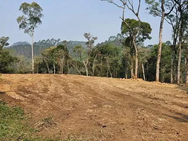 Terreno / Lote para Venda em São Bento do Sul/SC Lençol