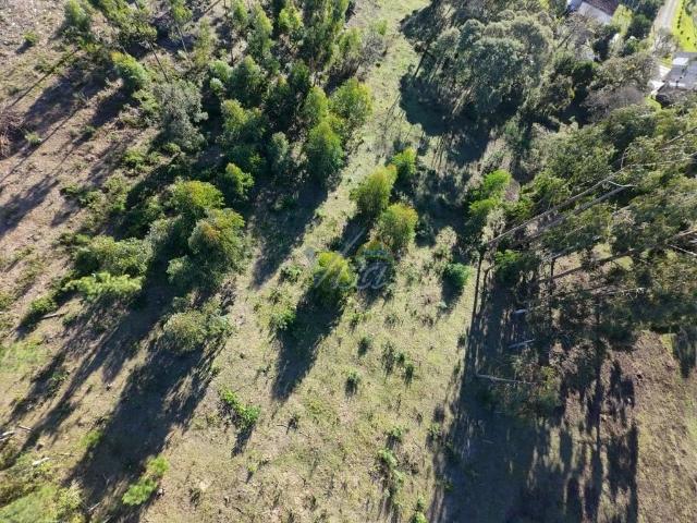 Terreno / Lote para Venda em São Bento do Sul/SC Lençol