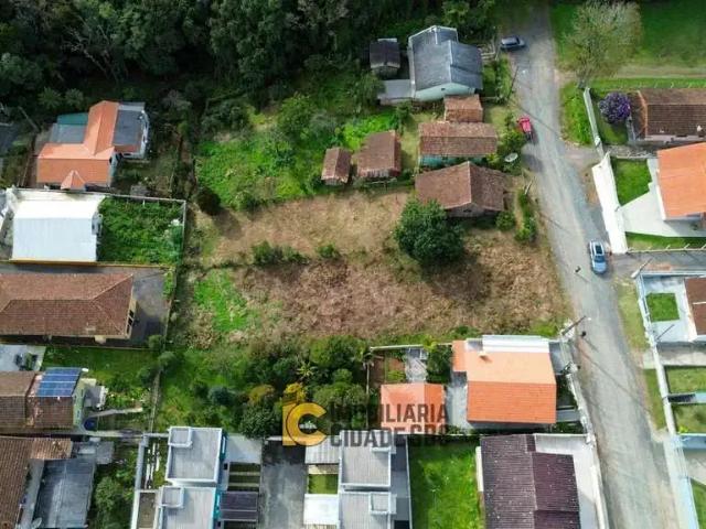 Terreno / Lote para Venda em São Bento do Sul/SC Schramm