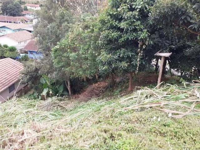 Terreno / Lote para Venda em São Bento do Sul/SC Schramm