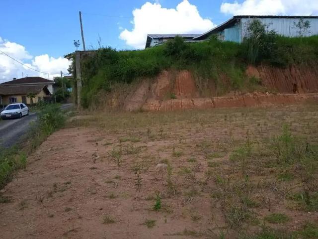 Terreno / Lote para Venda em São Bento do Sul/SC Serra Alta