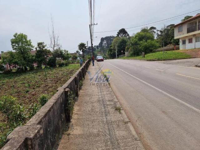 Terreno / Lote para Venda em São Bento do Sul/SC Serra Alta