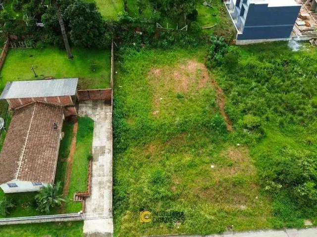 Terreno / Lote para Venda em São Bento do Sul/SC Serra Alta