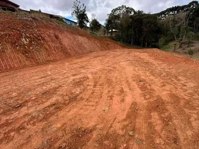 Terreno / Lote para Venda em São Bento do Sul/SC Serra Alta