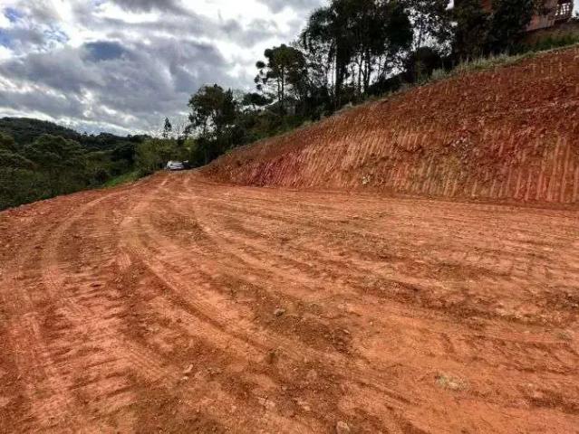 Terreno / Lote para Venda em São Bento do Sul/SC Serra Alta