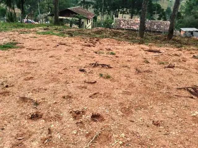 Terreno / Lote para Venda em São Bento do Sul/SC Serra Alta