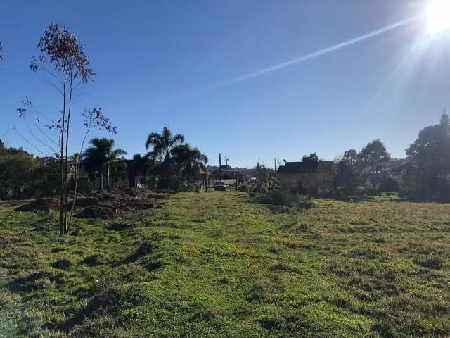 Terreno / Lote para Venda em São Bento do Sul/SC Serra Alta