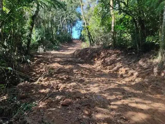 Terreno / Lote para Venda em São Bento do Sul/SC Serra Alta