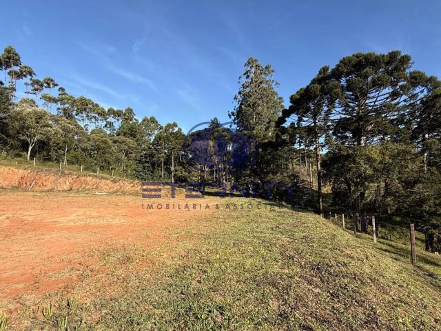 Terreno / Lote para Venda em São Bento do Sul/SC Serra Alta