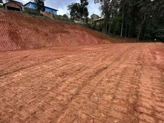 Terreno / Lote para Venda em São Bento do Sul/SC Serra Alta