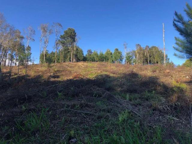 Terreno / Lote para Venda em São Bento do Sul/SC Progresso