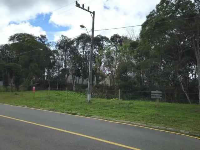 Terreno / Lote para Venda em São Bento do Sul/SC Progresso