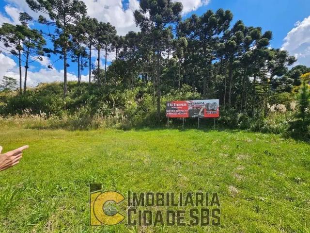 Terreno / Lote para Venda em São Bento do Sul/SC Rio Negro