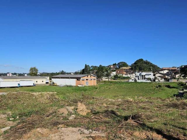 Terreno / Lote para Venda em São Bento do Sul/SC Rio Negro