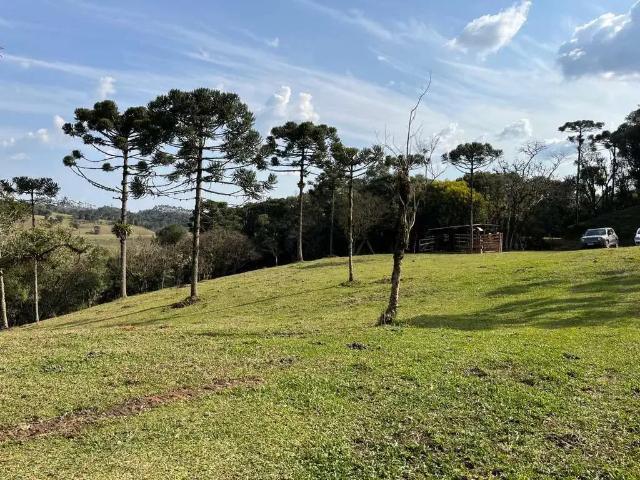 Terreno / Lote para Venda em São Bento do Sul/SC Rio Vermelho Estação