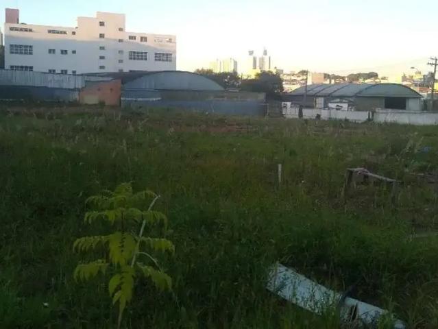 Terreno / Lote para Venda em São Bernardo do Campo/SP Taboão