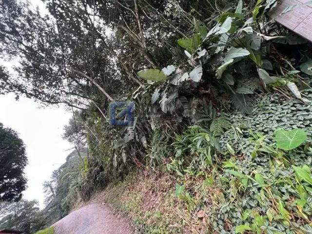 Terreno / Lote para Venda em São Bernardo do Campo/SP Varginha