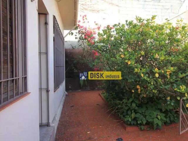 Terreno / Lote para Venda em São Bernardo do Campo/SP Vila Dusi