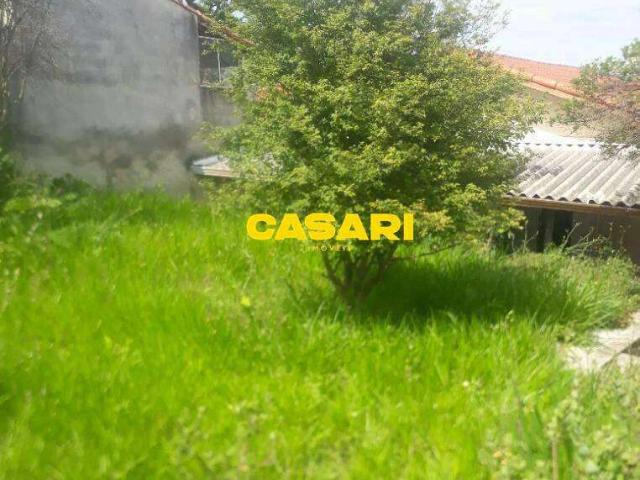 Terreno / Lote para Venda em São Bernardo do Campo/SP Vila Gonçalves