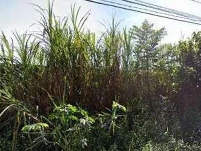 Terreno / Lote para Venda em São Bernardo do Campo/SP Alvarenga