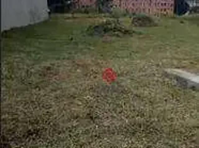 Terreno / Lote para Venda em São Bernardo do Campo/SP Alves Dias