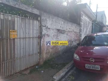 Terreno / Lote para Venda em São Bernardo do Campo/SP Alves Dias