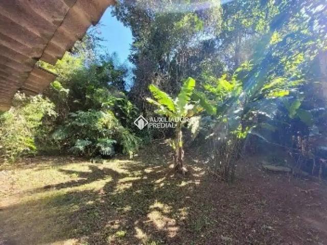 Terreno / Lote para Venda em São Bernardo do Campo/SP Anchieta