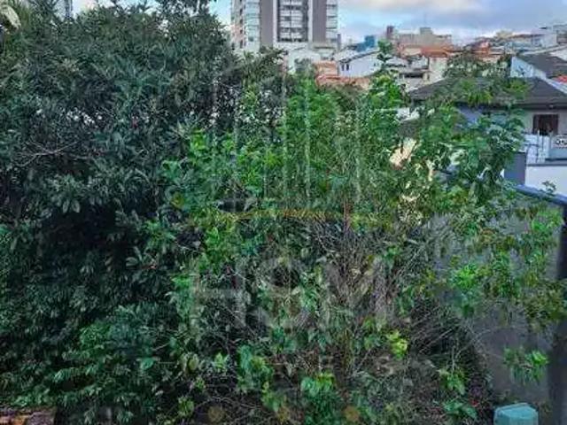 Terreno / Lote para Venda em São Bernardo do Campo/SP Anchieta