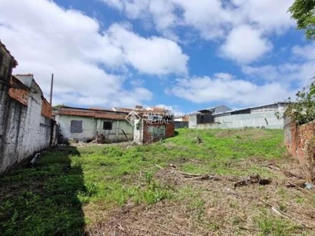 Terreno / Lote para Venda em São Bernardo do Campo/SP Assunção
