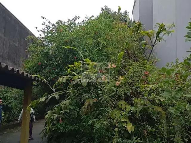 Terreno / Lote para Venda em São Bernardo do Campo/SP Assunção