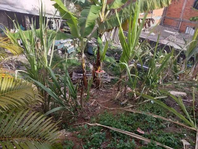 Terreno / Lote para Venda em São Bernardo do Campo/SP Batistini