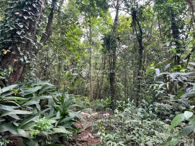 Terreno / Lote para Venda em São Bernardo do Campo/SP Batistini