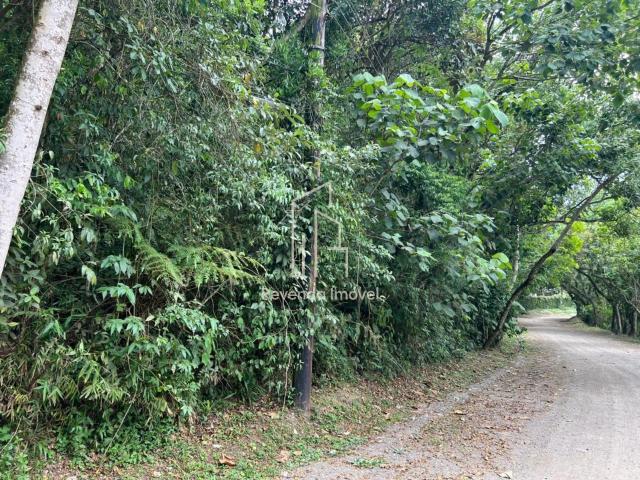 Terreno / Lote para Venda em São Bernardo do Campo/SP Batistini