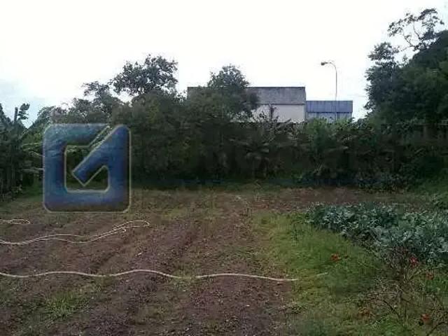 Terreno / Lote para Venda em São Bernardo do Campo/SP Batistini
