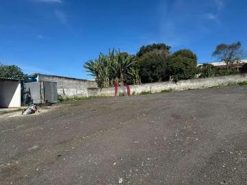 Terreno / Lote para Venda em São Bernardo do Campo/SP Batistini