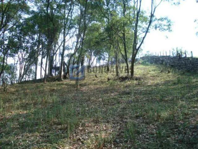 Terreno / Lote para Venda em São Bernardo do Campo/SP Batistini