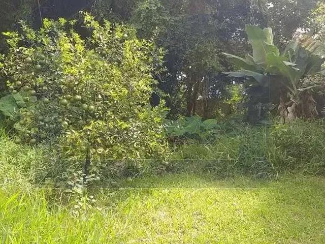 Terreno / Lote para Venda em São Bernardo do Campo/SP Centro