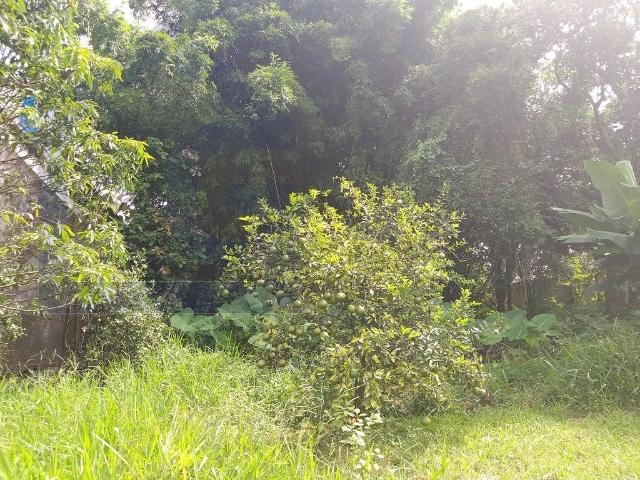 Terreno / Lote para Venda em São Bernardo do Campo/SP Centro