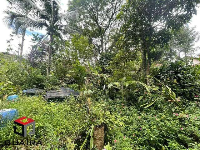 Terreno / Lote para Venda em São Bernardo do Campo/SP Centro