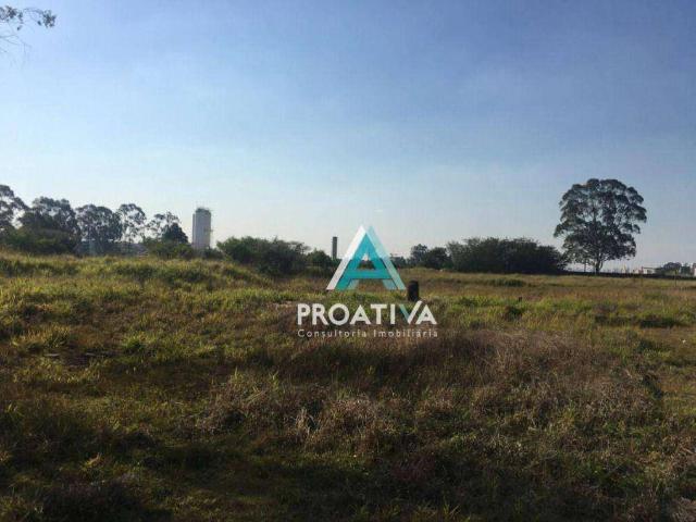 Terreno / Lote para Venda em São Bernardo do Campo/SP Cooperativa